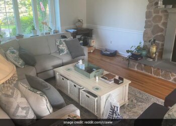 Can You Spot A Dog Hidden In This Image