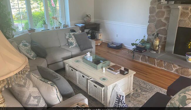 Can You Spot A Dog Hidden In This Image