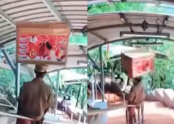 Watch: Viral Video Of A Man Sliding On Stair Railing | Video Of Man Sliding Stair Railing
