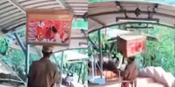 Watch: Viral Video Of A Man Sliding On Stair Railing | Video Of Man Sliding Stair Railing