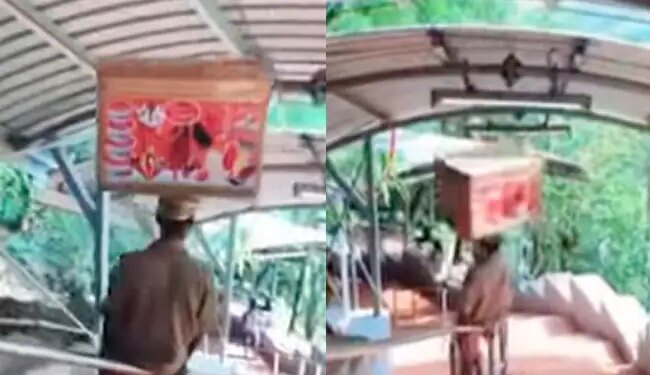 Watch: Viral Video Of A Man Sliding On Stair Railing | Video Of Man Sliding Stair Railing