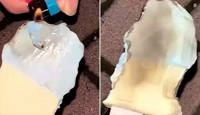 आग लगने के बावजूद भी नहीं पिघलती है ये आइसक्रीम, खाने में सबसे ज्यादा टेस्टी होती है