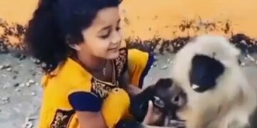 Little Girl Snatching Baby Monkey From Its Mother Lap Old Viral Video Leaves Twitter Upset – बंदर के बच्चे को बार-बार मां की गोद से छीन रही थी छोटी बच्ची, परेशान बंदर को देख भड़के यूजर्स, बोले