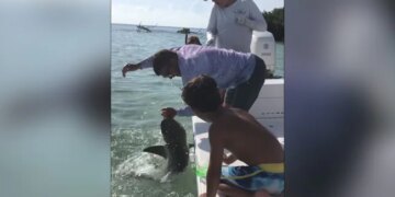 Shark Attack On Man Chewing His Palm Putting It In The Jaw And Then This Happened Watch Viral Video