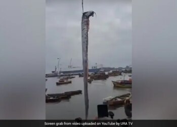 Monster Fish Caught In Chile It Has A Connection With Earthquakes Watch Viral Video