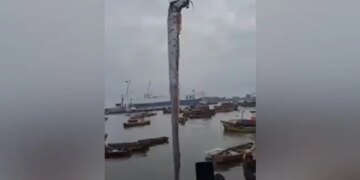 Monster Fish Caught In Chile It Has A Connection With Earthquakes Watch Viral Video