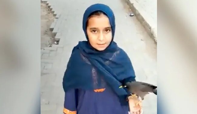 Everyone Is Surprised To See The Friendship Of Little Hiba And The Bird, VIDEO Going Viral