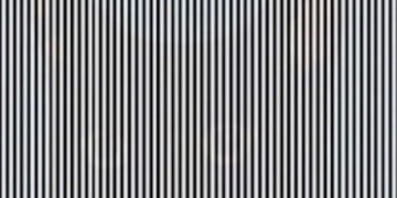 Animal Hidden In This Optical Illusion You May Have To Shake Your Head You Will Get The Correct Answer