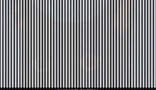 Animal Hidden In This Optical Illusion You May Have To Shake Your Head You Will Get The Correct Answer