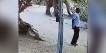Elephant Throws Dirt On Man Reason Will Make You Laugh Out Loud See Viral Video
