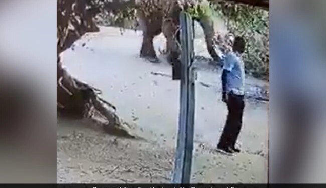 Elephant Throws Dirt On Man Reason Will Make You Laugh Out Loud See Viral Video