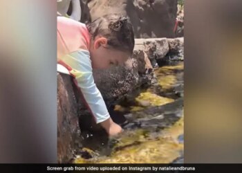 Little Girl Tries To Make Fish Drink Water From Glass Internet Says Precious Watch Adorable Video – मछलियों को गिलास से पानी पिला रही थी छोटी बच्ची, Cute Video ने जीता लोगों का दिल, बोले