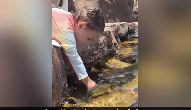 Little Girl Tries To Make Fish Drink Water From Glass Internet Says Precious Watch Adorable Video – मछलियों को गिलास से पानी पिला रही थी छोटी बच्ची, Cute Video ने जीता लोगों का दिल, बोले