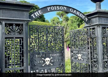 Poison Garden Has More Than 100 Dangerous Plants Photo Viral Know About Shocking Truth