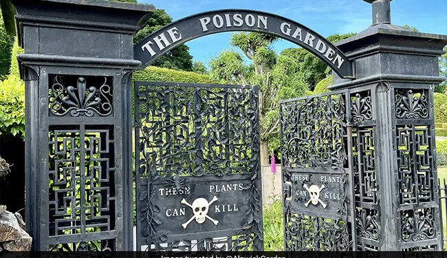 Poison Garden Has More Than 100 Dangerous Plants Photo Viral Know About Shocking Truth