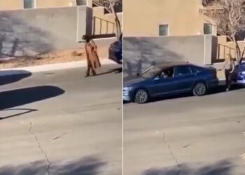 Watch: Viral Video Of Woman Do This Jugaad Car Parking