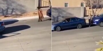 Watch: Viral Video Of Woman Do This Jugaad Car Parking