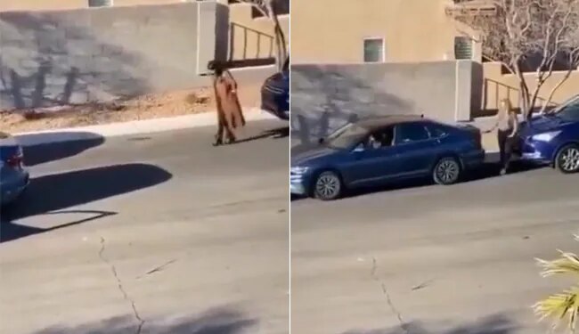 Watch: Viral Video Of Woman Do This Jugaad Car Parking