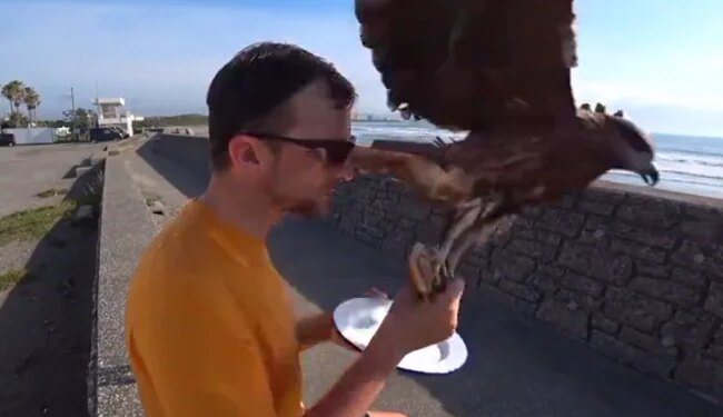 The Person Was Having Breakfast On The Terrace, Then The Eagle Came And Ran Away In The Blink Of An Eye, 13 Lakh People Watched The Video