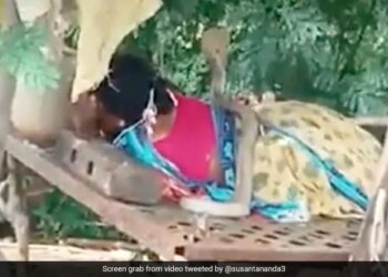 Dangerous Cobra Climbed On Woman Sleeping On Cot, Woman Started Crying Begging For Life