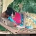 Dangerous Cobra Climbed On Woman Sleeping On Cot, Woman Started Crying Begging For Life