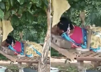 Shocking Viral Video Of Snake Climbed On Woman Lying Down Cobra Sat Over Woman In Kalaburagi District Of Karnataka