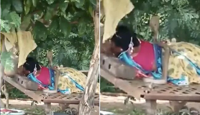 Shocking Viral Video Of Snake Climbed On Woman Lying Down Cobra Sat Over Woman In Kalaburagi District Of Karnataka