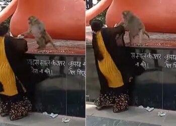 Trending Video: Monkey And Woman Fight In The Temple Video Viral On Social Media