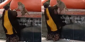 Trending Video: Monkey And Woman Fight In The Temple Video Viral On Social Media