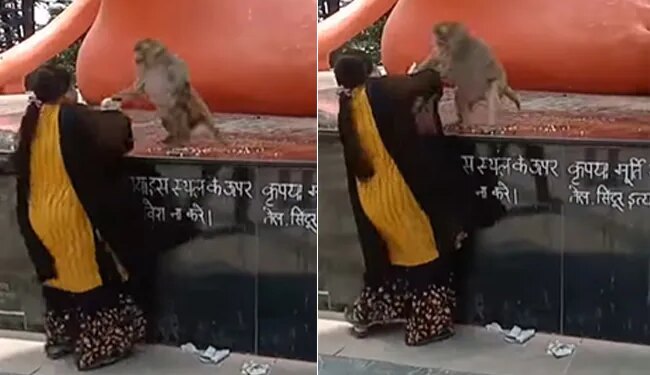 Trending Video: Monkey And Woman Fight In The Temple Video Viral On Social Media