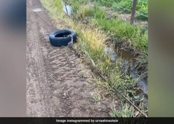 Man Uses Tyre To Clean Blocked Sewer This Jugaad Will Be Very Useful For You Watch Viral Video