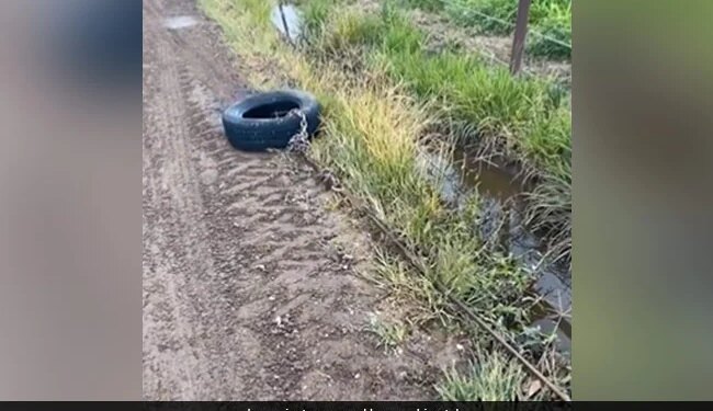 Man Uses Tyre To Clean Blocked Sewer This Jugaad Will Be Very Useful For You Watch Viral Video