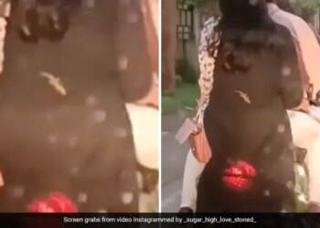 Trending Video: Lizard On Woman Suit Who Was Riding On Scooty Video Viral On Social Media