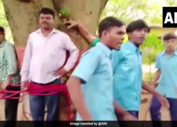 After Failing In The Examination, The Students Beat Up The Teachers By Tying Them To The Tree, The Video Went Viral