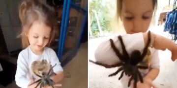 Little Girl Playing With Giant Spiders Internet Is Terrified To See Shocking Video