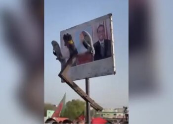 पोस्टर पर ऑटोमेटिक मशीन की मदद से चप्पल मार रहे हैं पाकिस्तानी, ये आइडिया सुपरहिट है