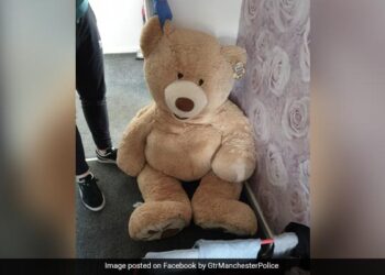 Car Thief Hides For Months Then Police Noticed A Large Teddy Bear Breathing In UK – कार चोर ने क्यूट से Teddy Bear का किया ऐसा इस्तेमाल….4 महीने ढूंढती रही पुलिस…