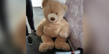 Car Thief Hides For Months Then Police Noticed A Large Teddy Bear Breathing In UK – कार चोर ने क्यूट से Teddy Bear का किया ऐसा इस्तेमाल….4 महीने ढूंढती रही पुलिस…