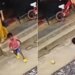 A Mother Saved Her Little Son From A Cobra Snake Shocking Video | Karnataka Woman Quicklysaving His Child From Snake