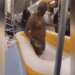 Shocking Video: This Person Started Bathing In The Bathing Tub Inside The Metro, Started Hitting The Passengers On Interrupting