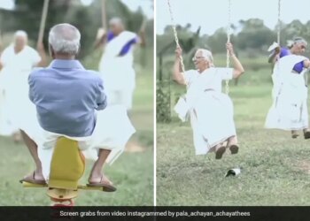 Senior Citizens Having Fun Swinging In The Park Like Children Viral Video Wins Heart