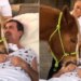 Patient And Horse Equine Therapy Viral Video | Patient Breaks Down As Therapy Horse Comforts Him Viral Video Will Make You Cry