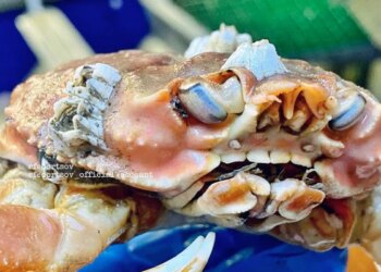 Sea Creature With Human Teeth: Fisherman Catches Weird Crab With Human Teeth World Most Amazing Sea Creature