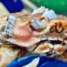 Sea Creature With Human Teeth: Fisherman Catches Weird Crab With Human Teeth World Most Amazing Sea Creature