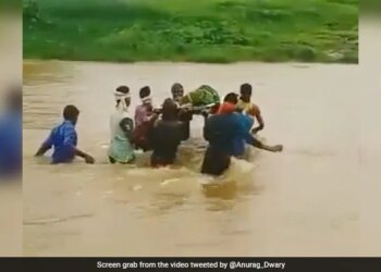 VIDEO: देखिए कैसे जान हथेली पर रखकर एक गर्भवती महिला को उफनती नदी पार कराया  गया