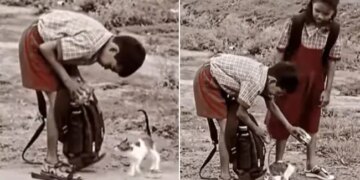 These Children Fed Their Tiffin To Feed A Hungry Cat Netizens Said This Video Made Us Cry
