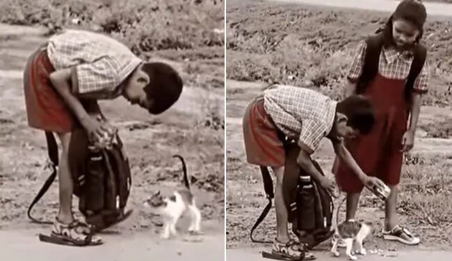 These Children Fed Their Tiffin To Feed A Hungry Cat Netizens Said This Video Made Us Cry