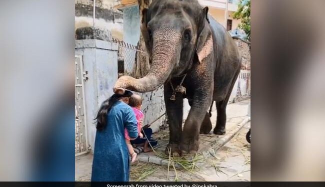IPS Officer Shares Video Showing Elephant Blessing Mother And Child On Ganesh Chaturthi Watch Cute Video