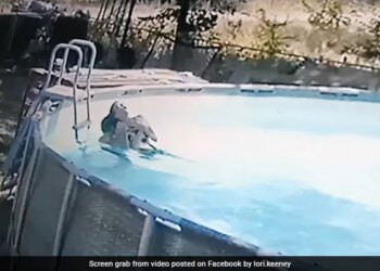 10 Year Old Boy Jumped In The Swimming Pool To Saves His Mom From Drowning Then What Happened Next See Viral Video