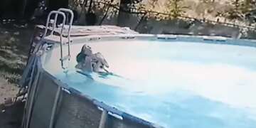 10 Year Old Boy Jumped In The Swimming Pool To Saves His Mom From Drowning Then What Happened Next See Viral Video
